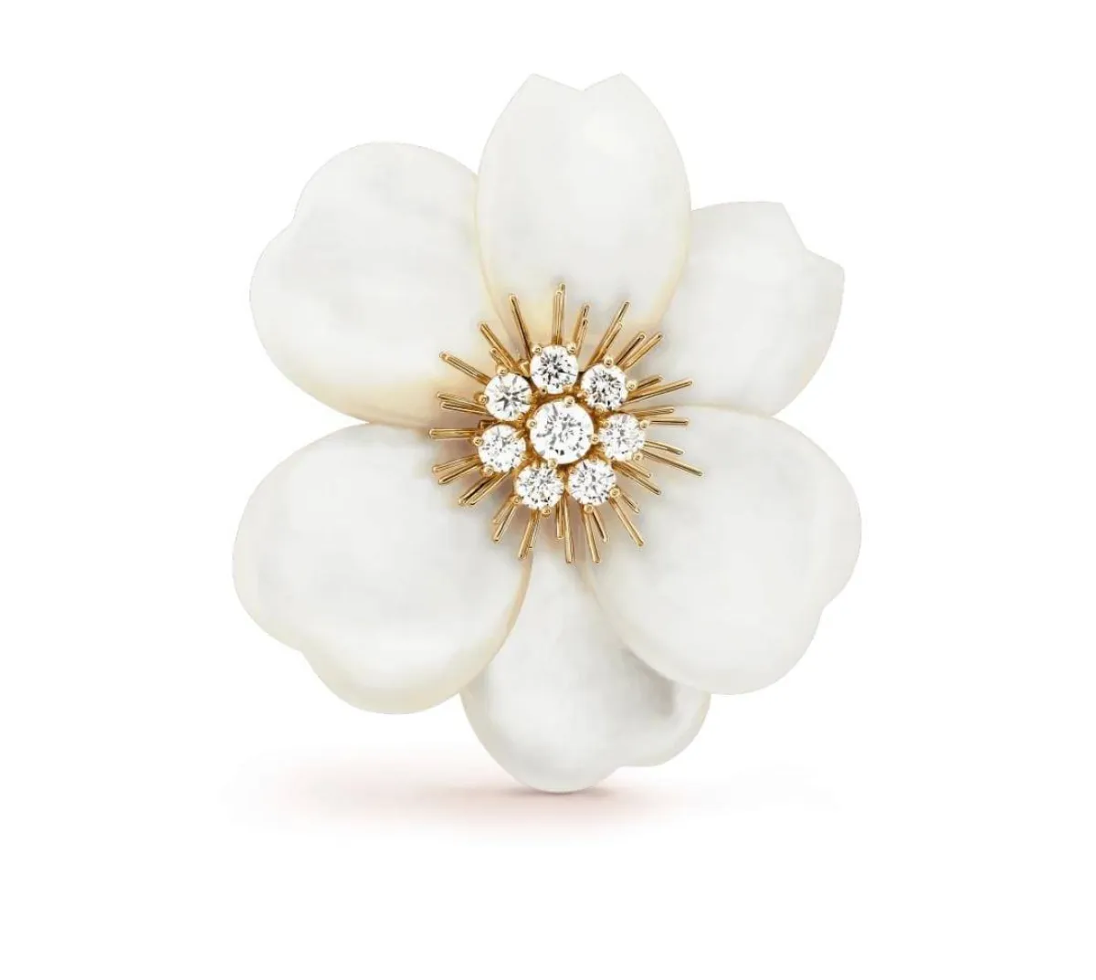 بروش Rose de Noël من فان كليف آند أربلز Van cleef&Arpels 