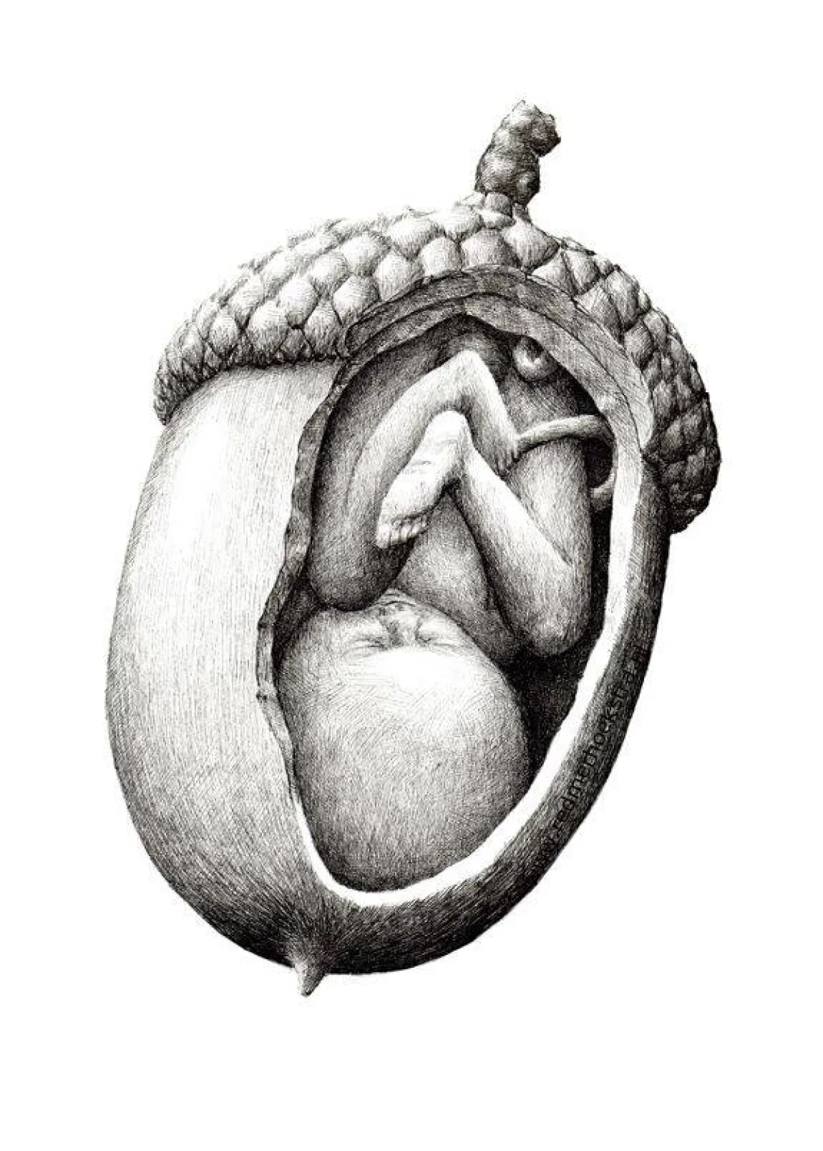 أعمال  ريدمر هوكسترا