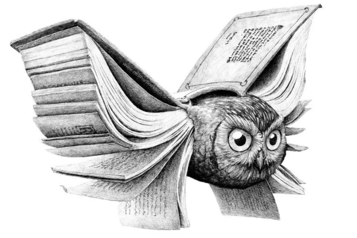 أعمال  ريدمر هوكسترا