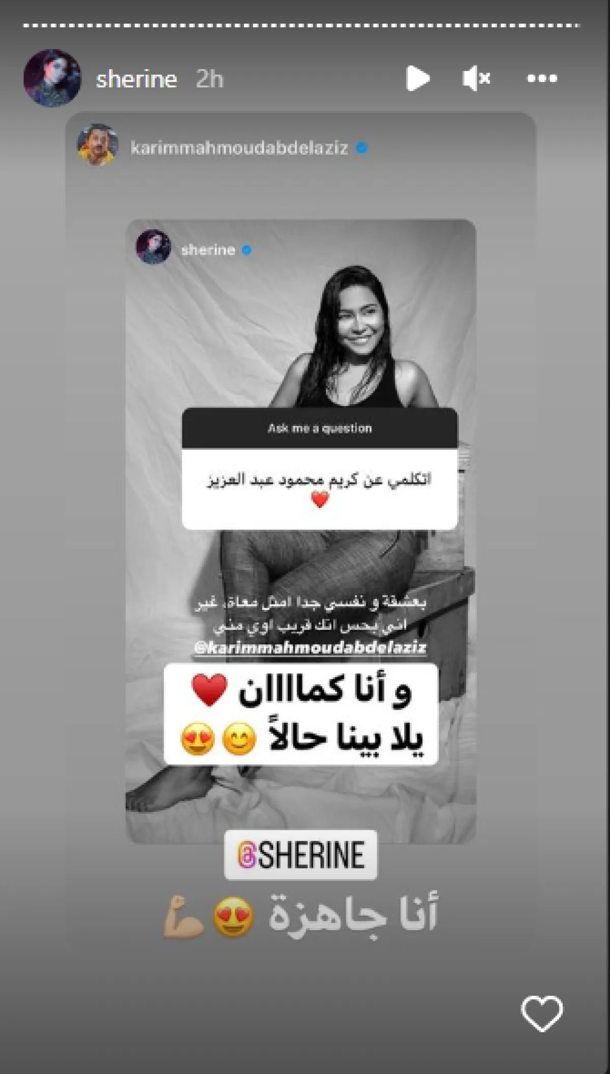 كريم محمود عبد العزيز يرد على طلب شيرين عبد الوهاب العمل معه - الصورة من انستغرام شيرين