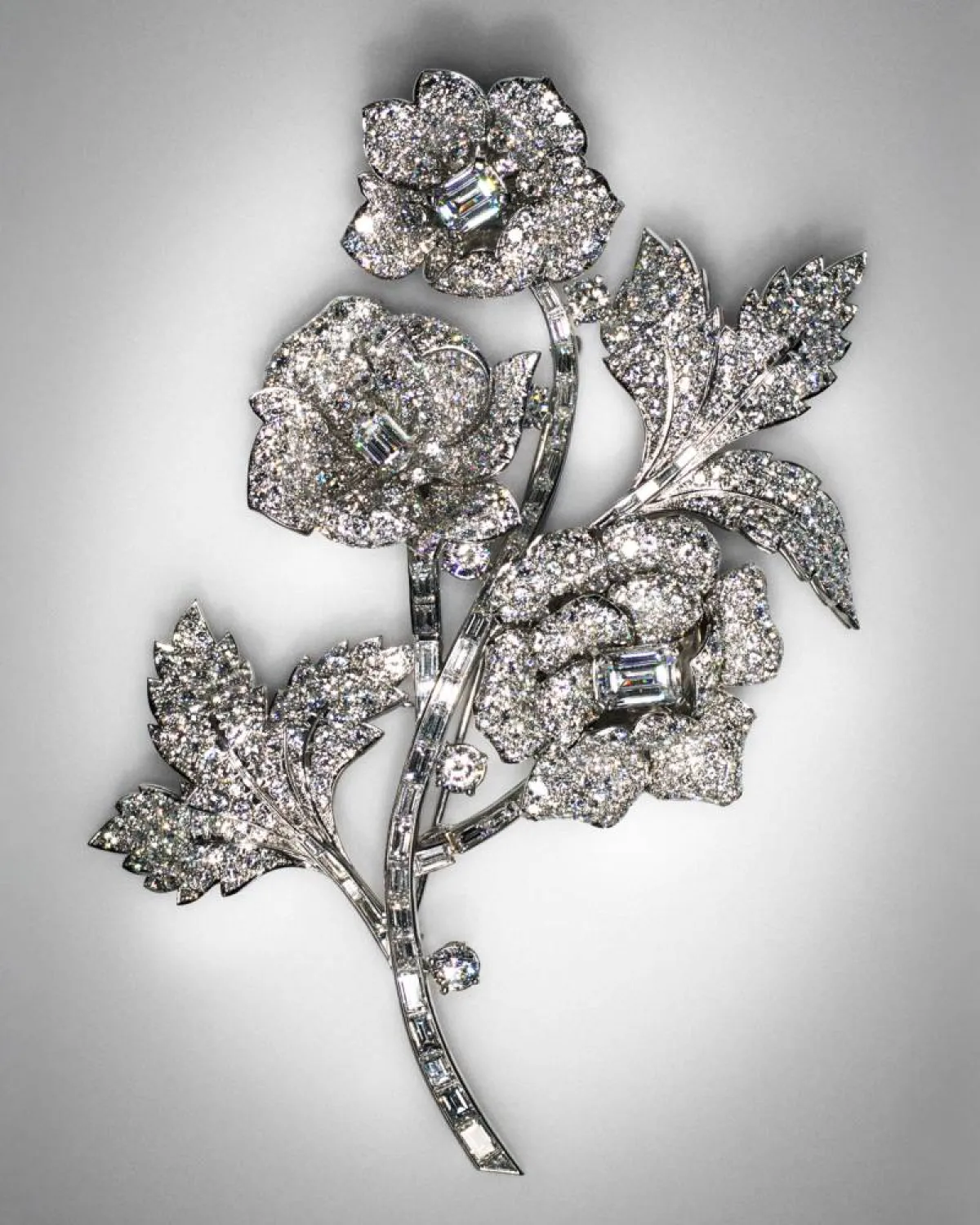 بروش فاخر من تيفاني أند كو