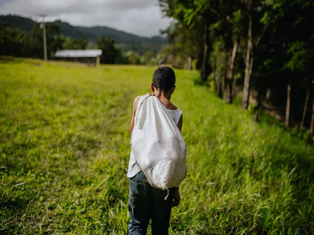 صورة لطفل صغير يعمل في الحقول