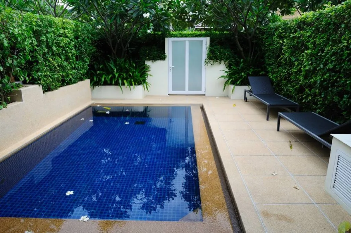 بركة واقعى في جزء الحديقة "المهمل"