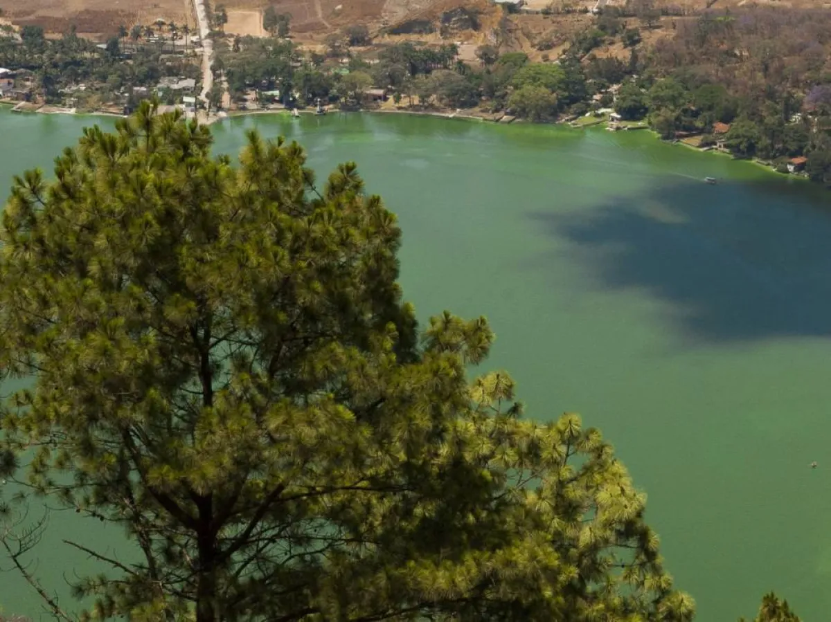 صبي ينجو من الموت بأعجوبة