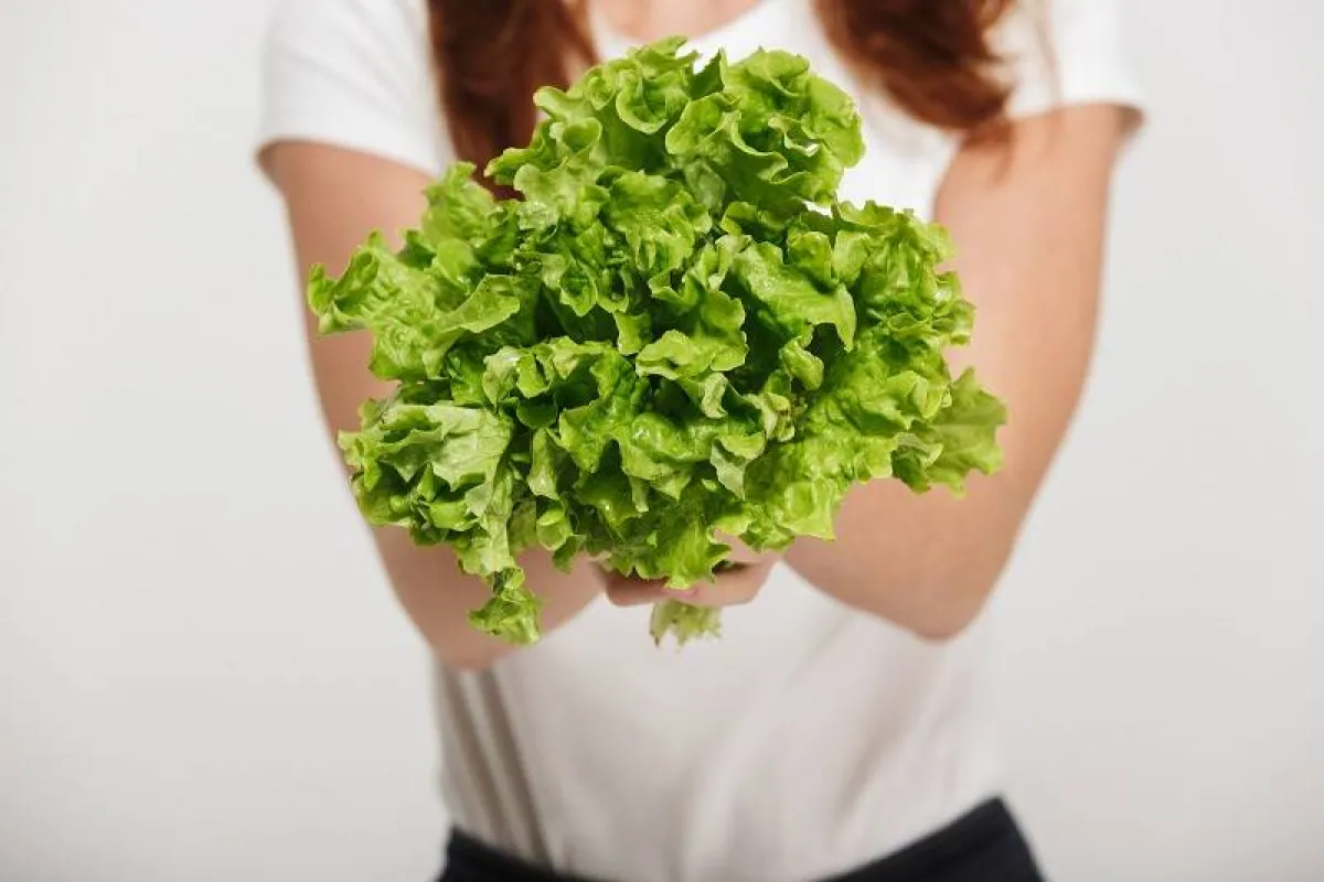 خسارة الوزن