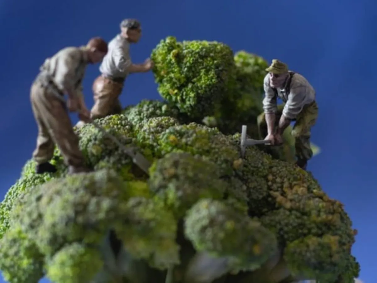 فن المنمنمات