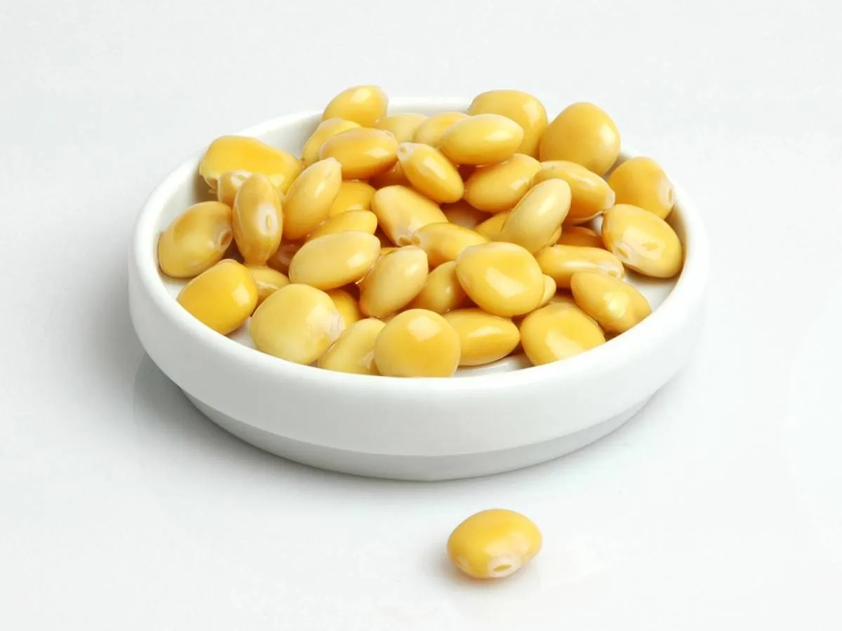 فوائد الترمس الحلو