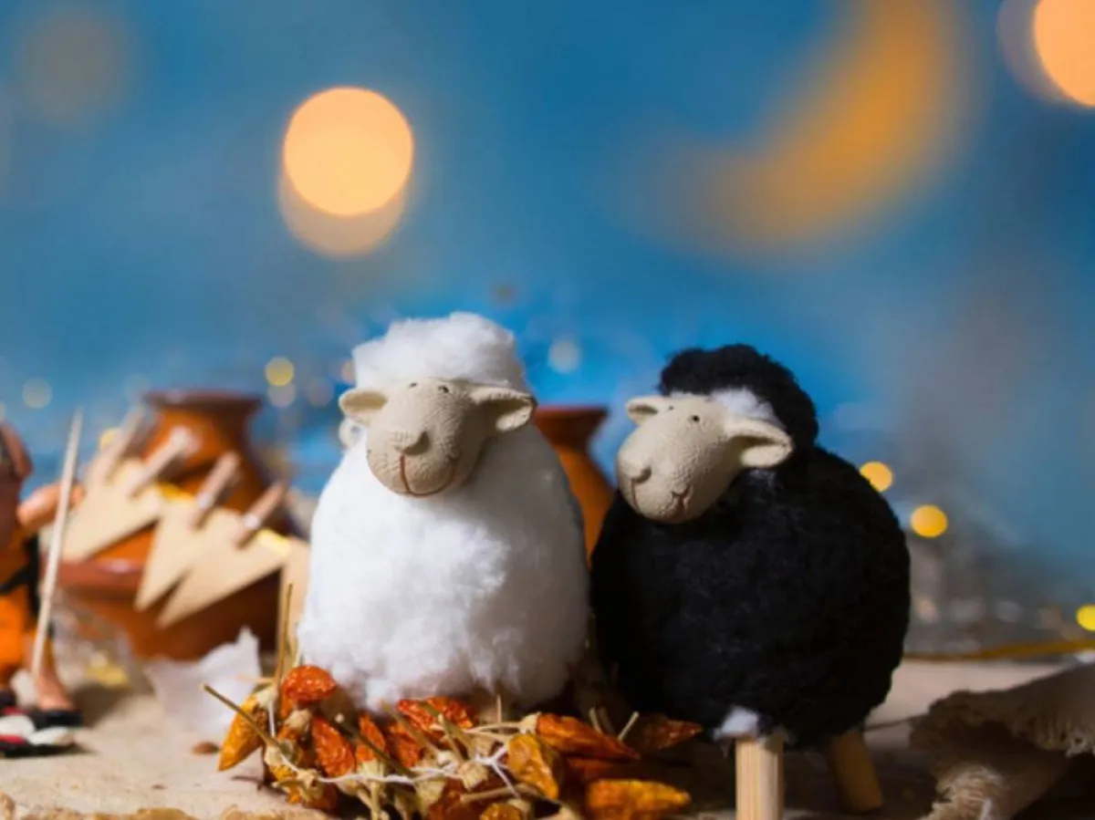 كل ما تريد معرفته عن الأضحية