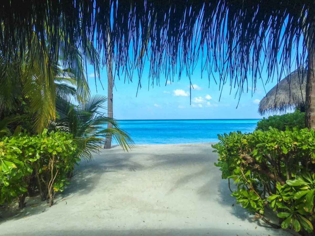 شاطئ ريثي أحد أفضل الشواطئ لقضاء شهر العسل في العالم