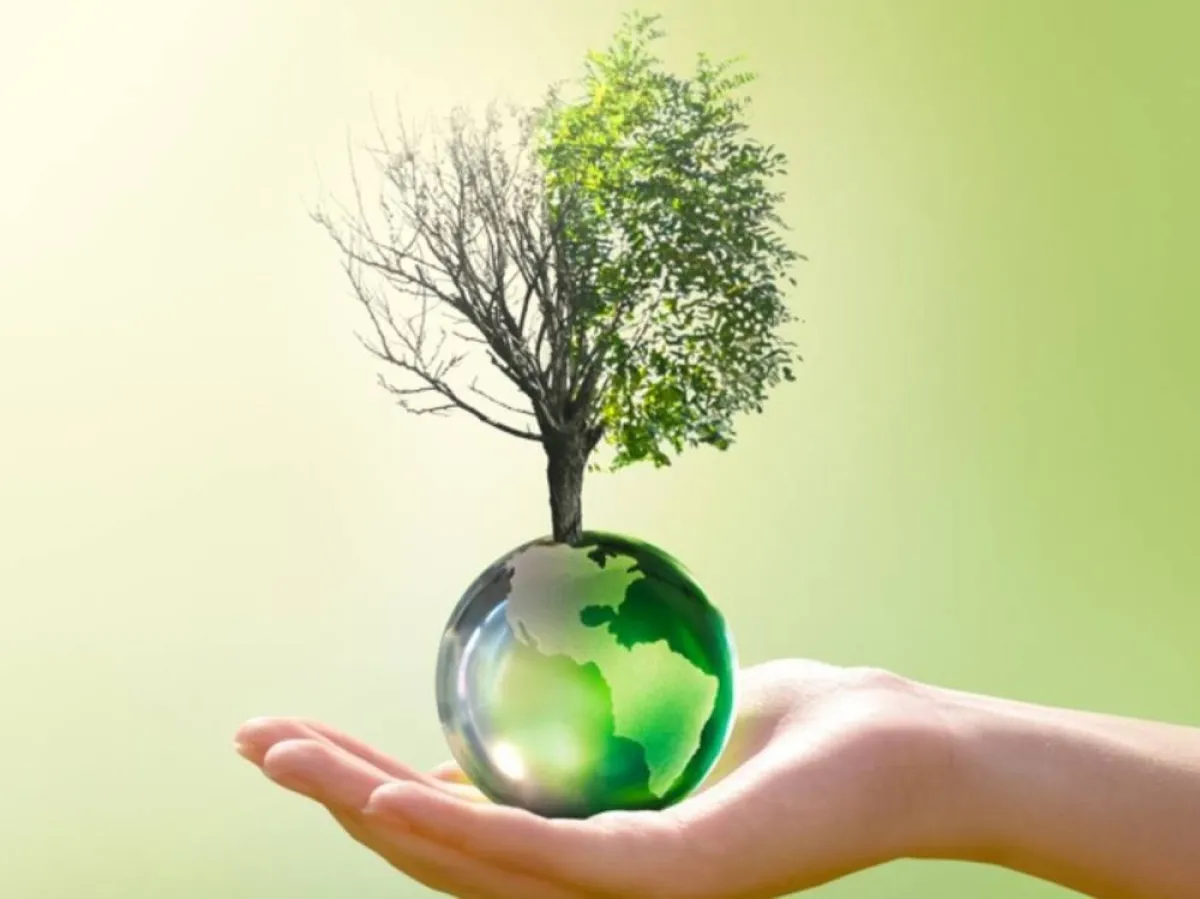 اليوم العالمي لمكافحة التصحر والجفاف   