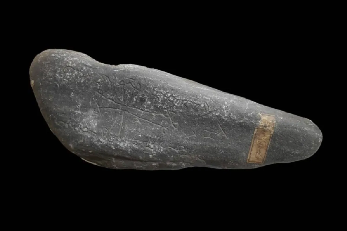 صورة قبر محفور لمتوفى بالطاعون الأسود