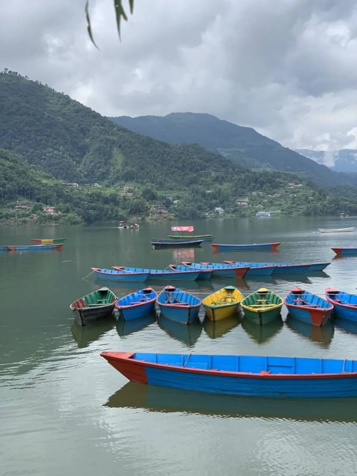 لقطة في "بوخارا"