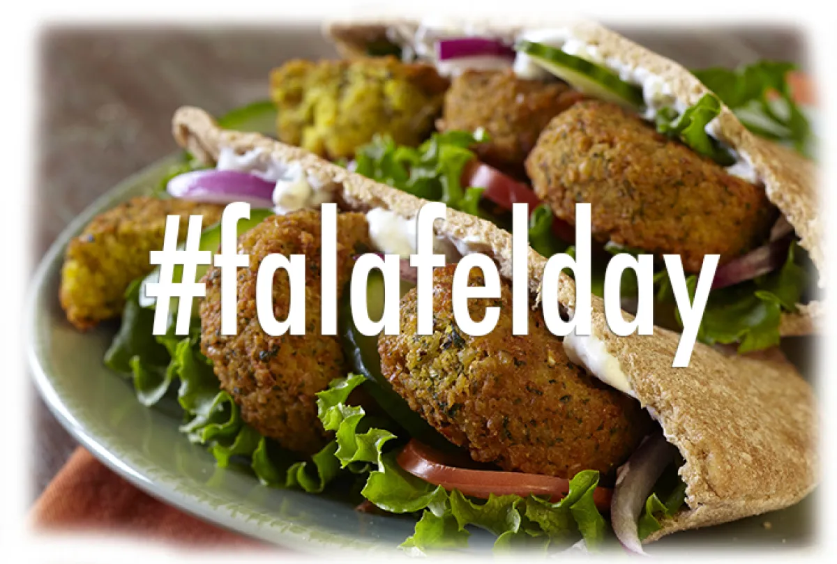 اليوم العالمي للفلافل
