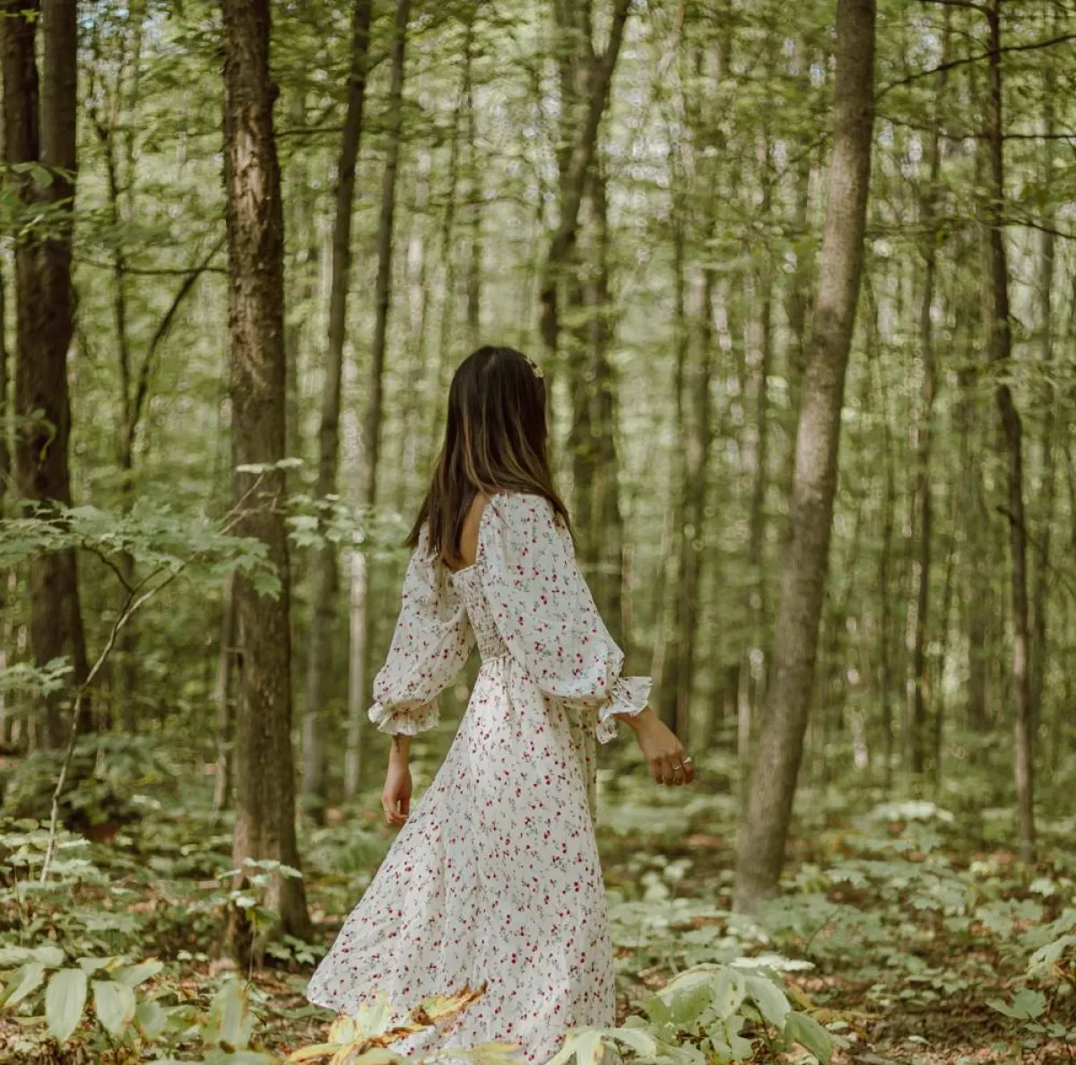 صورة للأشجار الغضة