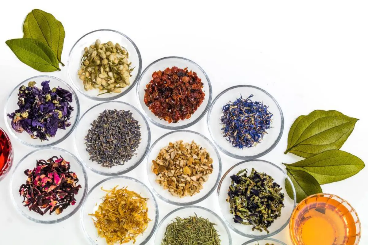 صورة لأعشاب طبية تزيد فرص الحمل الثاني