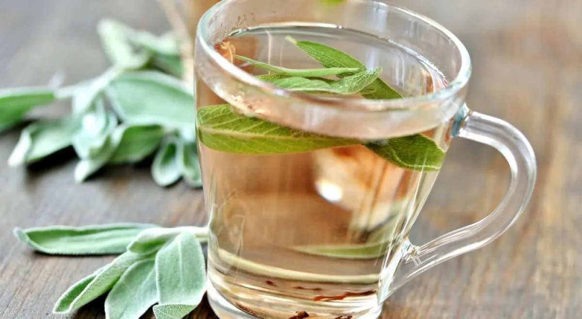 صورة لمشروب المريمية