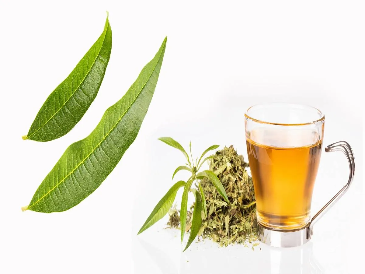 صورة لشاي اللويزة