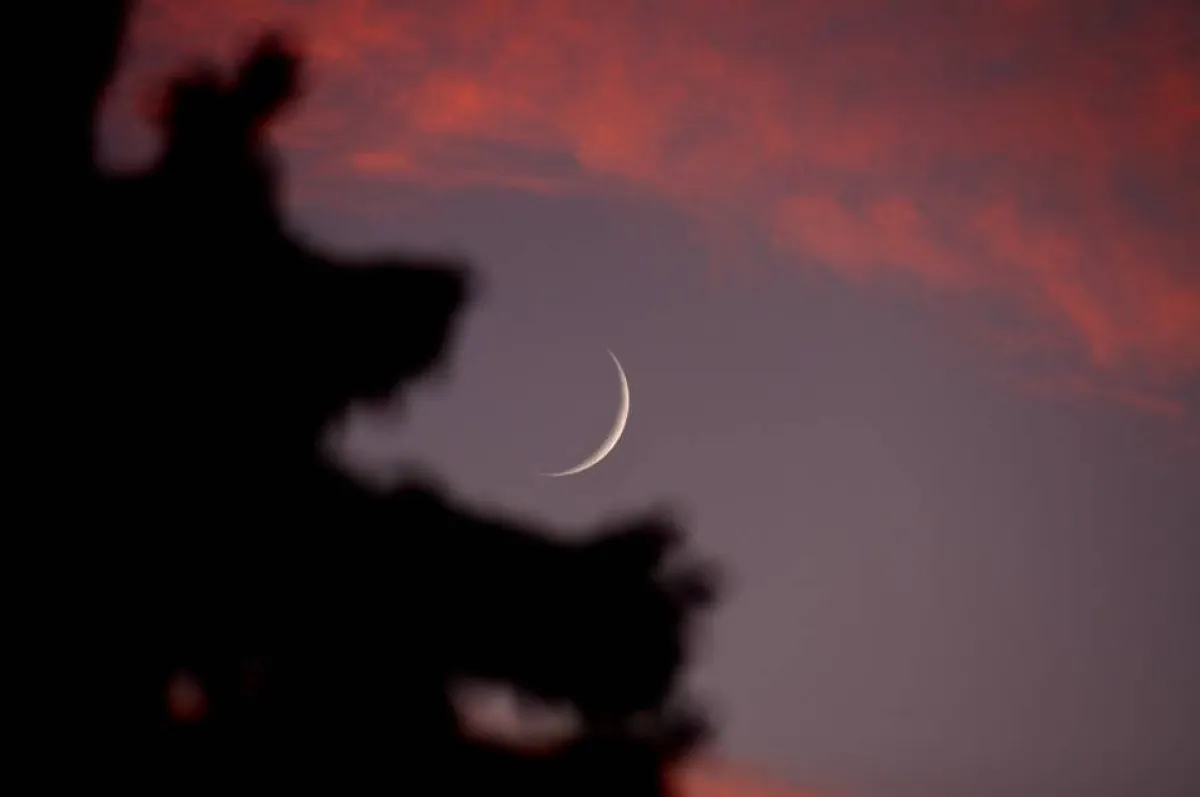 الإمارات للفلك تعلن موعد عيد الأضحى - الصورة من وام