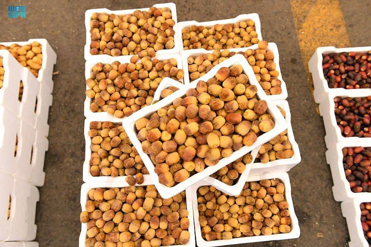 التمور- مصدر الصورة واس