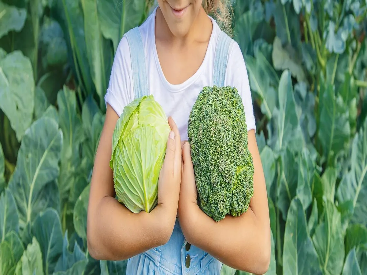 صورة لطفلة تحمل البروكلي والملفوف