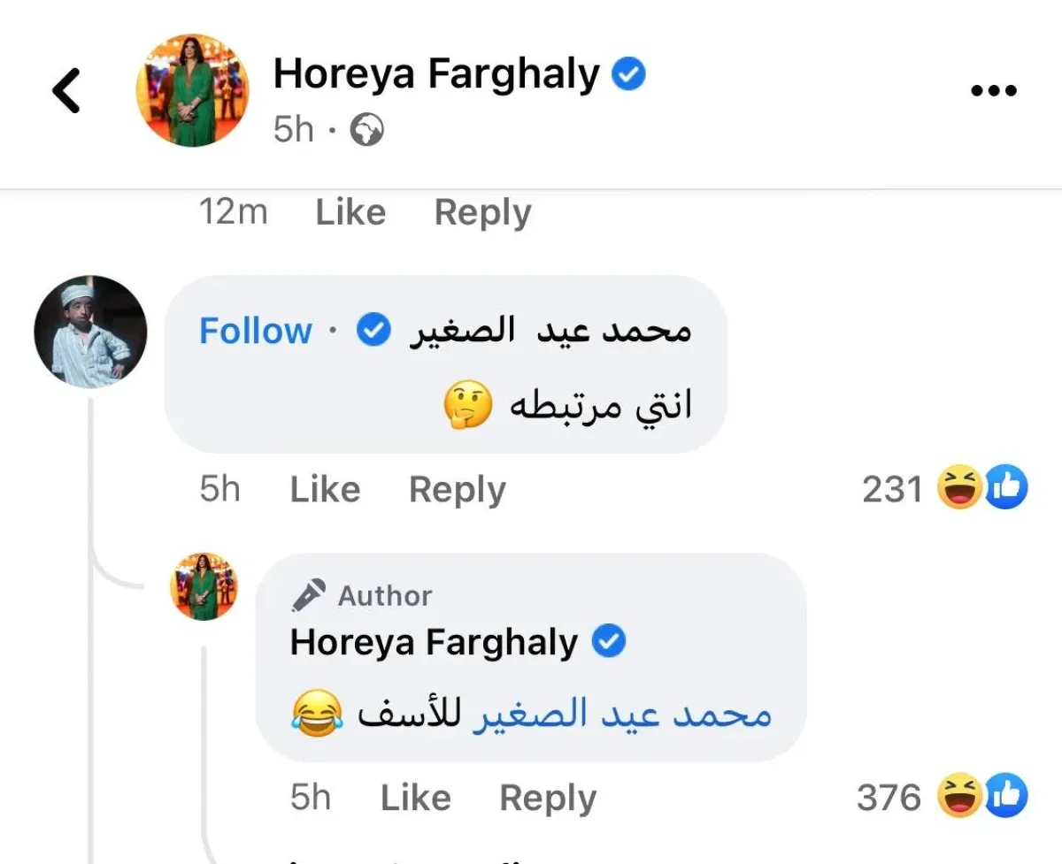 حورية فرغلي - الصورة من حسابها على الفيس بوك