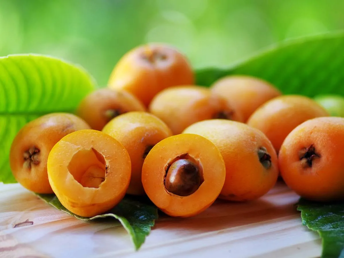 فوائد فاكهة الأسكدنيا