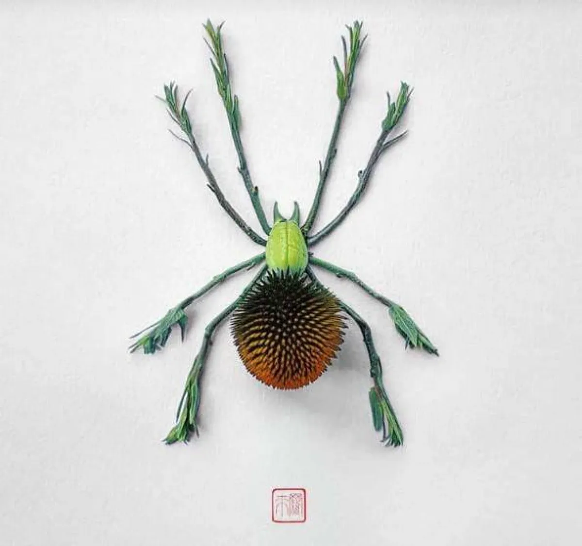 أعمال راكو إينو 