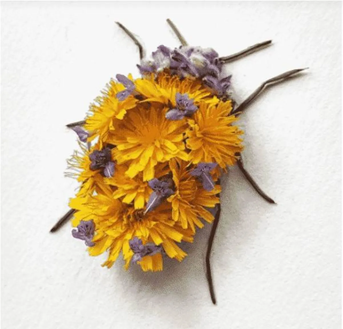 أعمال راكو إينو 