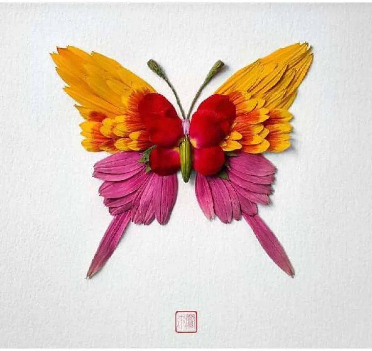 أعمال راكو إينو 