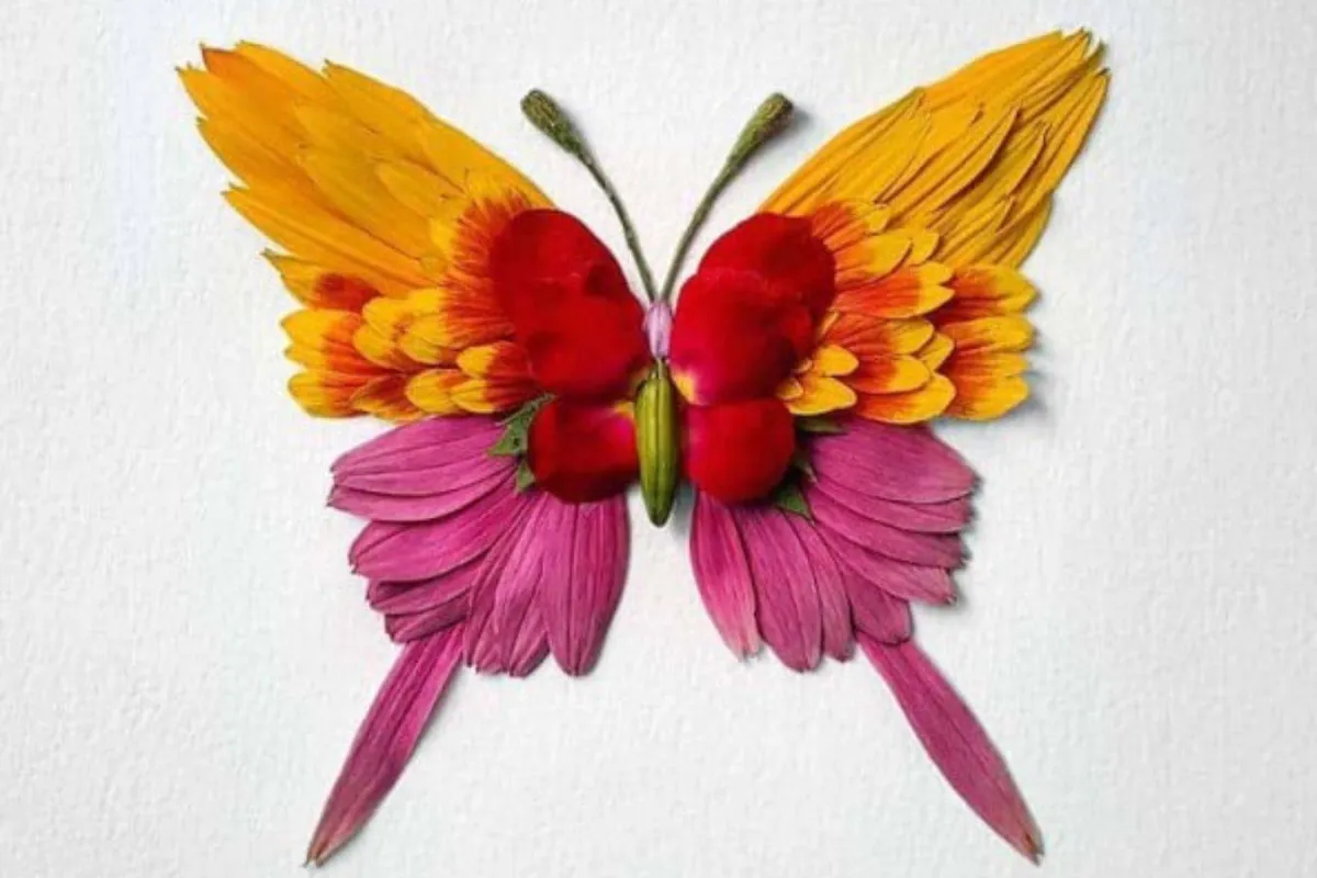 أعمال راكو إينو 