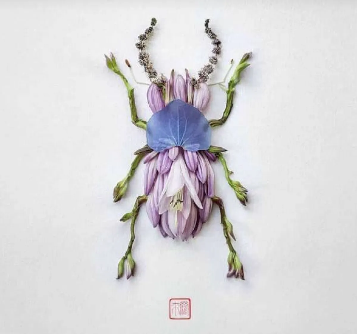 أعمال راكو إينو 