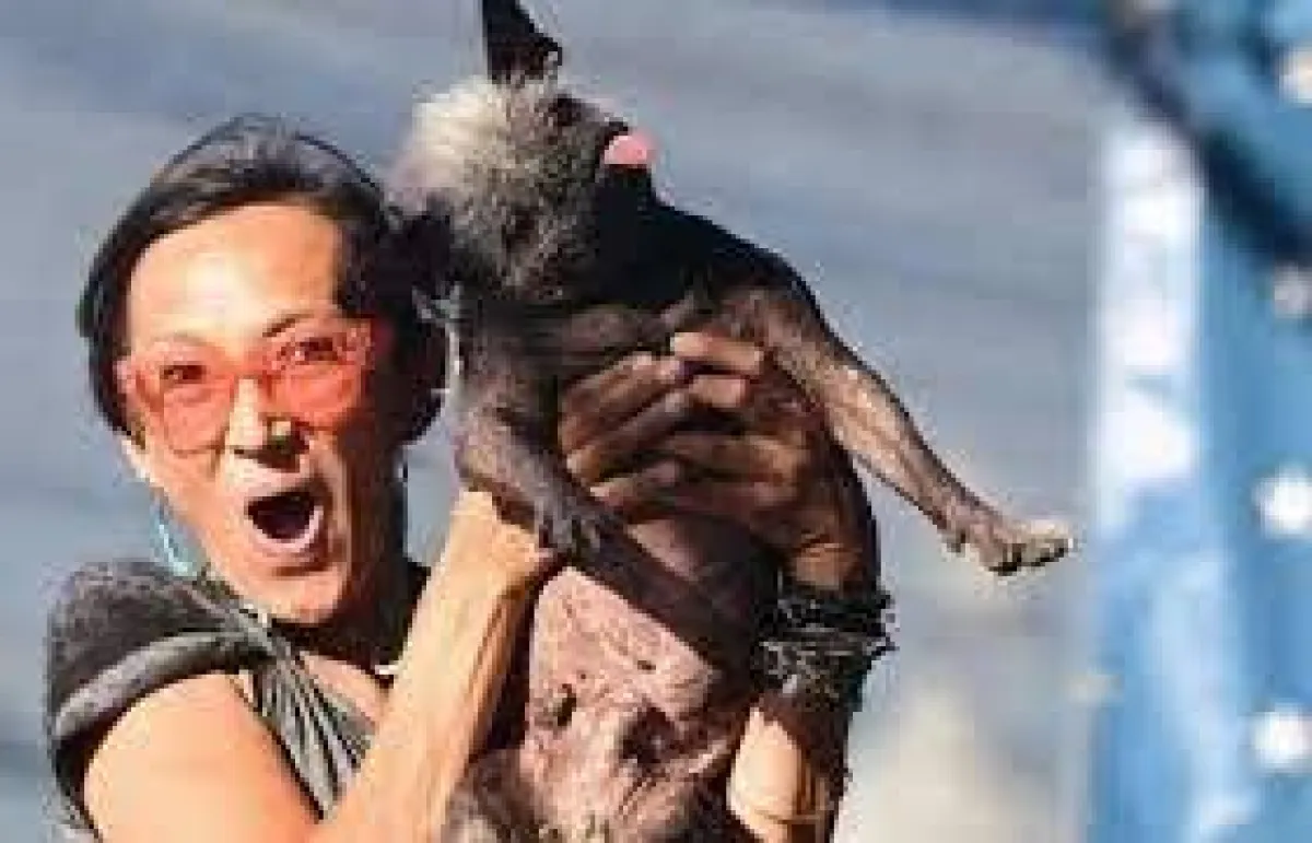 فوز الكلب "هابي فيس" بمسابقة "أقبح كلب في العالم" لسنة 2022