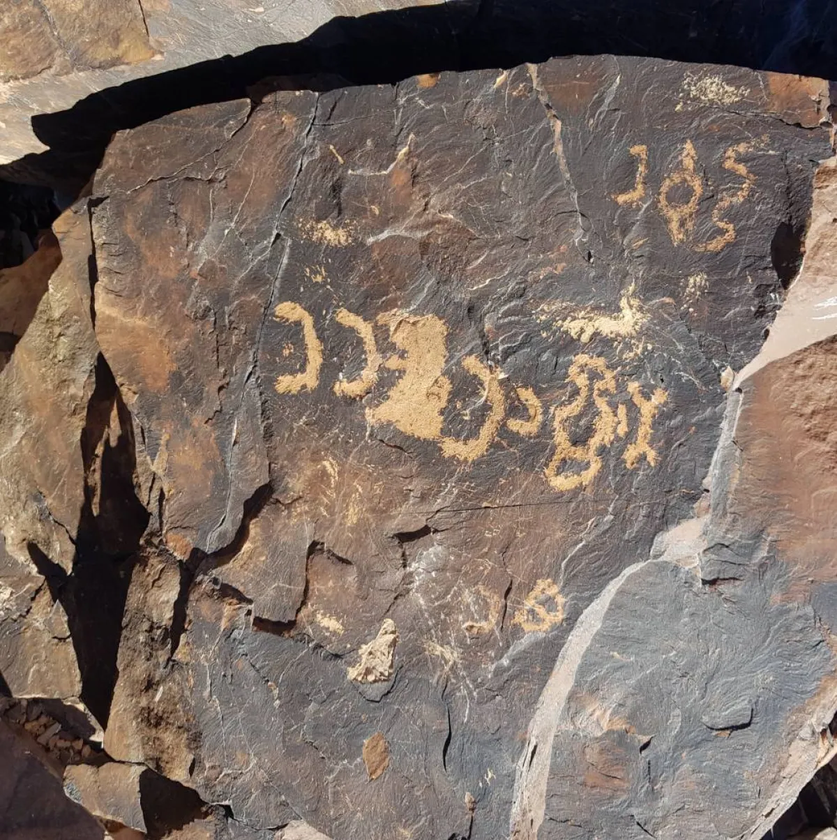 نقوش ثمودية  في حائل 