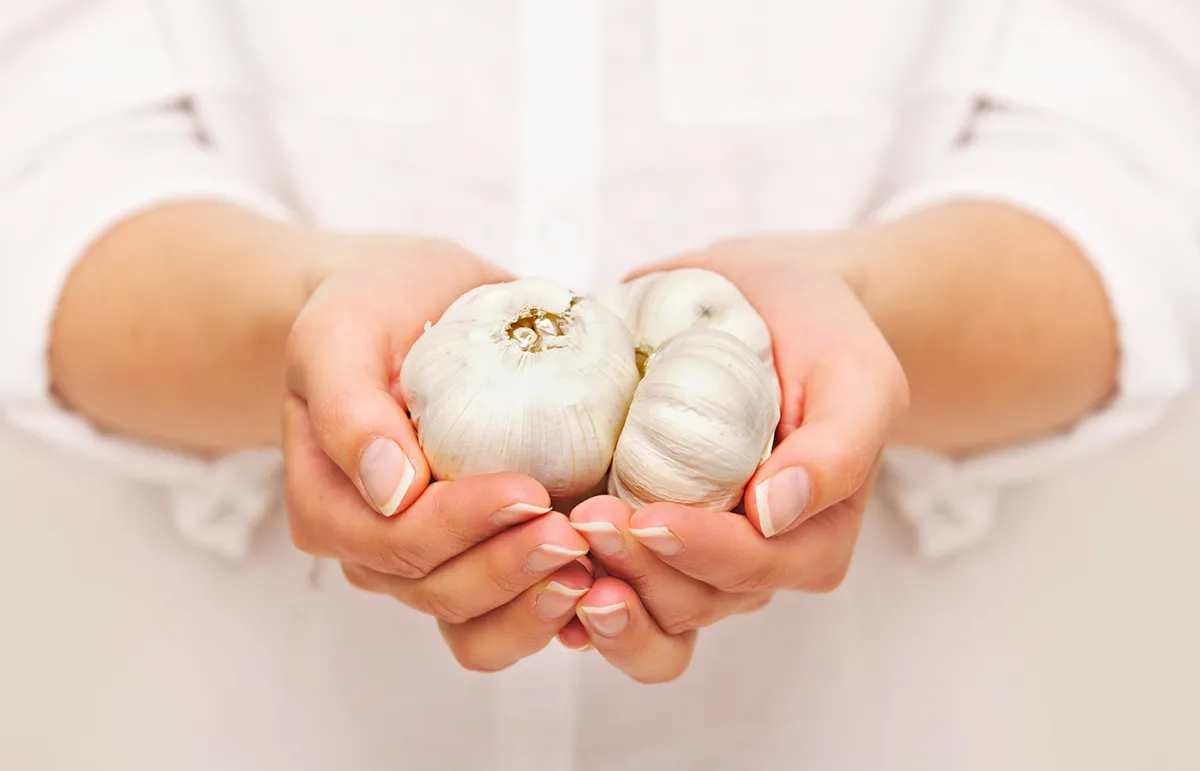 فوائد الثوم للحامل في الشهر التاسع.. وأضراره