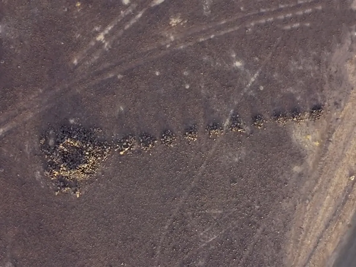 تسجيل محمية "حرة عويرض" في اليونسكو