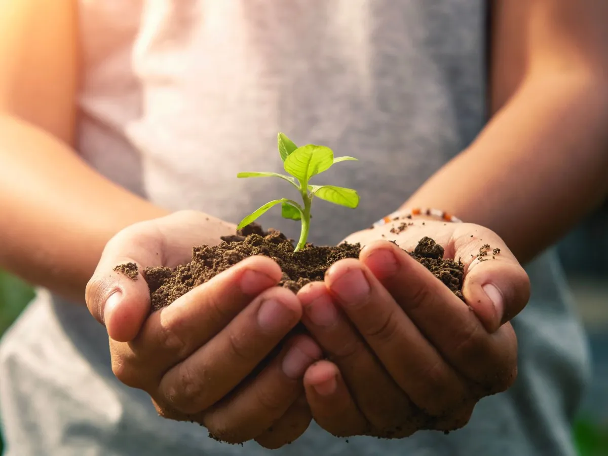 يوم المؤسسات المتناهية الصغر والصغيرة والمتوسطة *