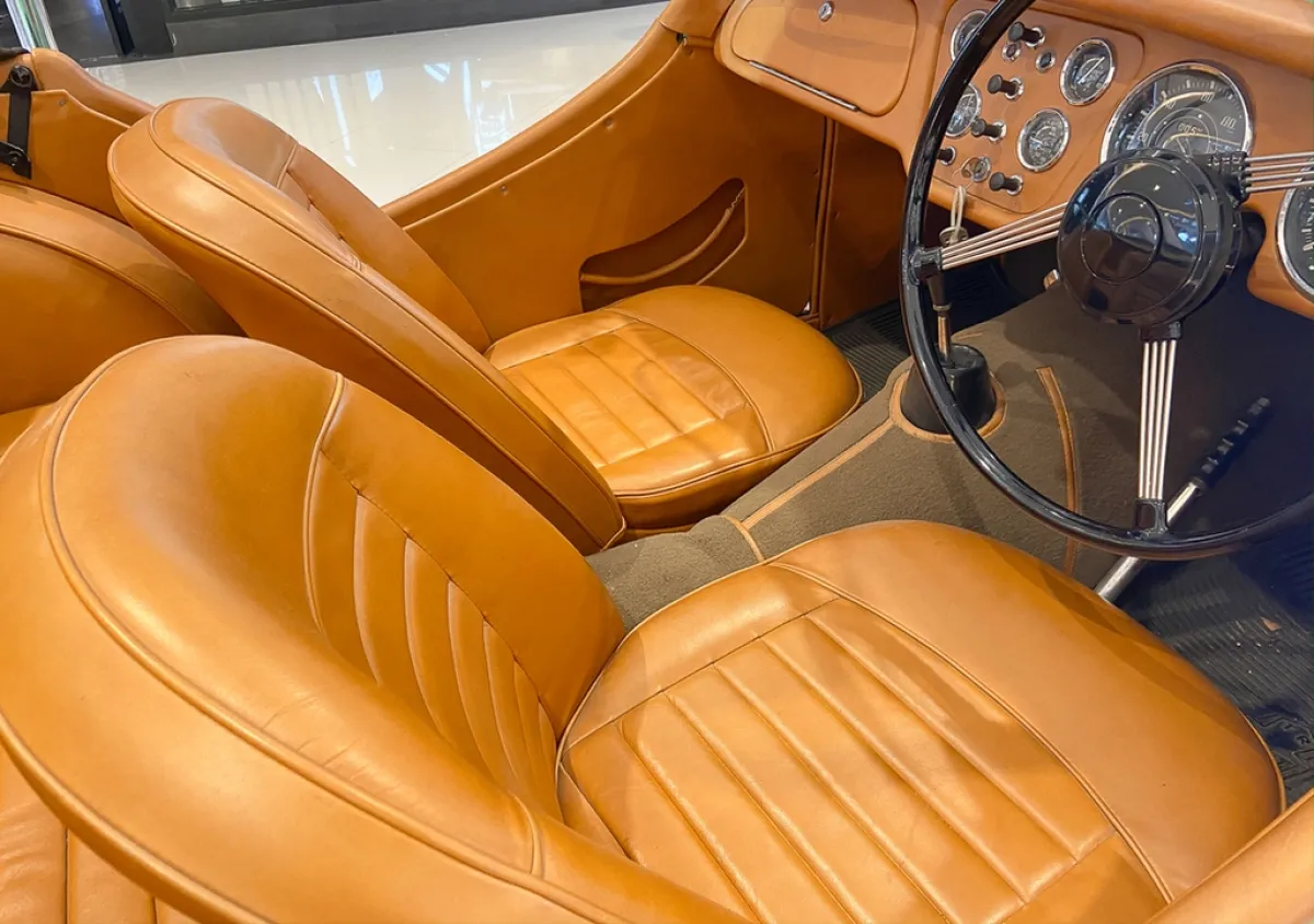 أثاث السيارة الجلد