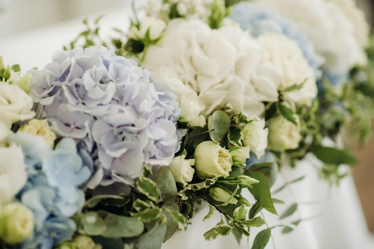 الزهور مستخدمة في التزيين