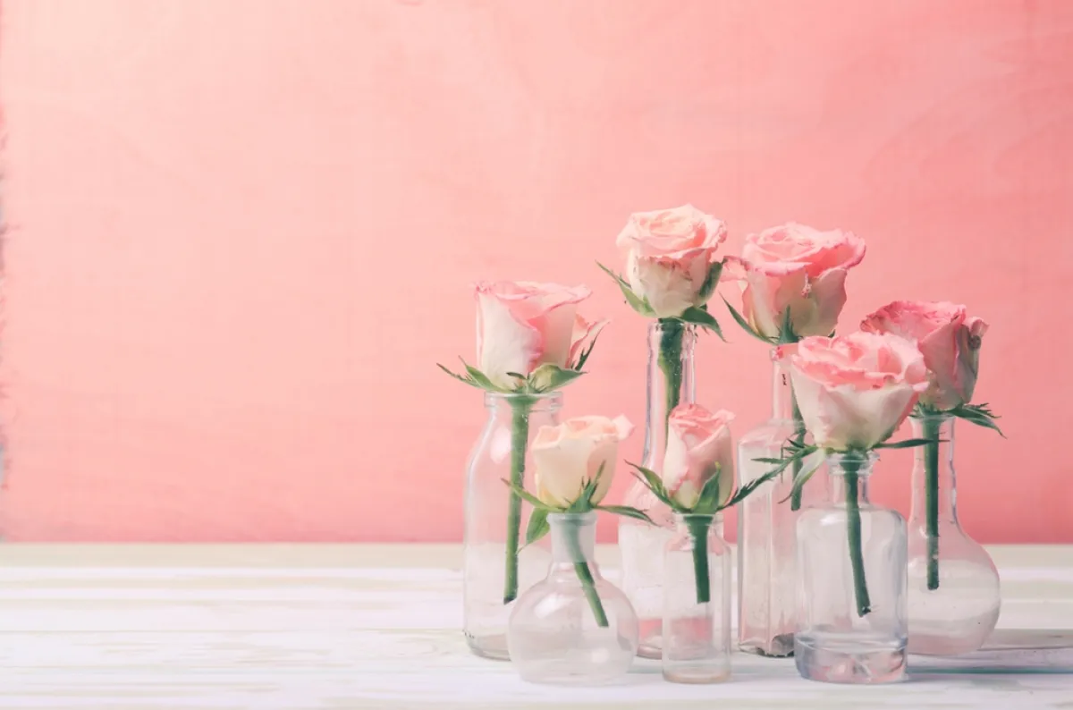 زهور طبيعيّة