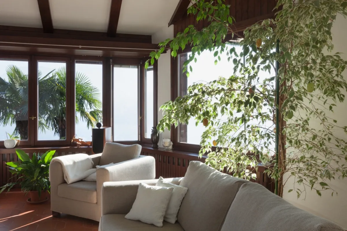 لمسات خضراء في البلكونة