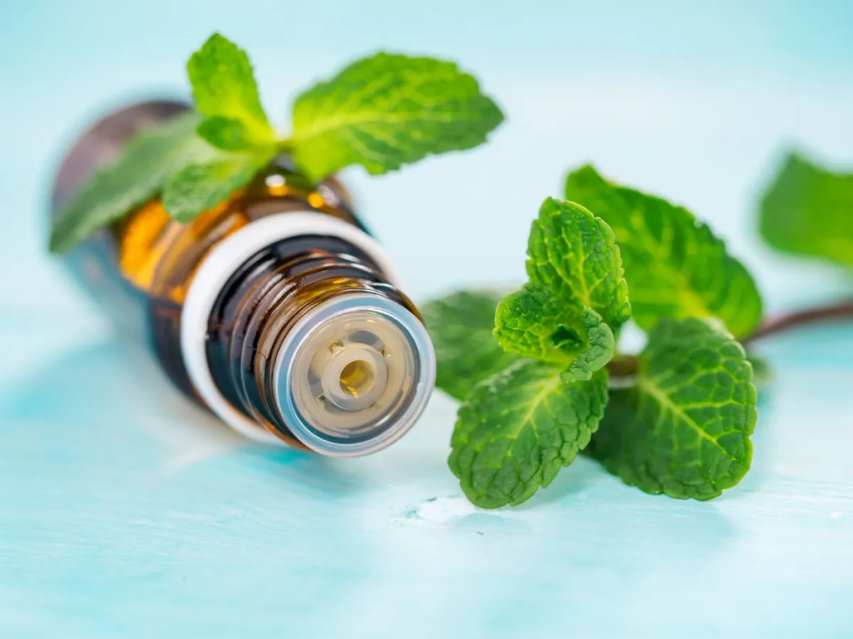 زيت النعناع الأساسي