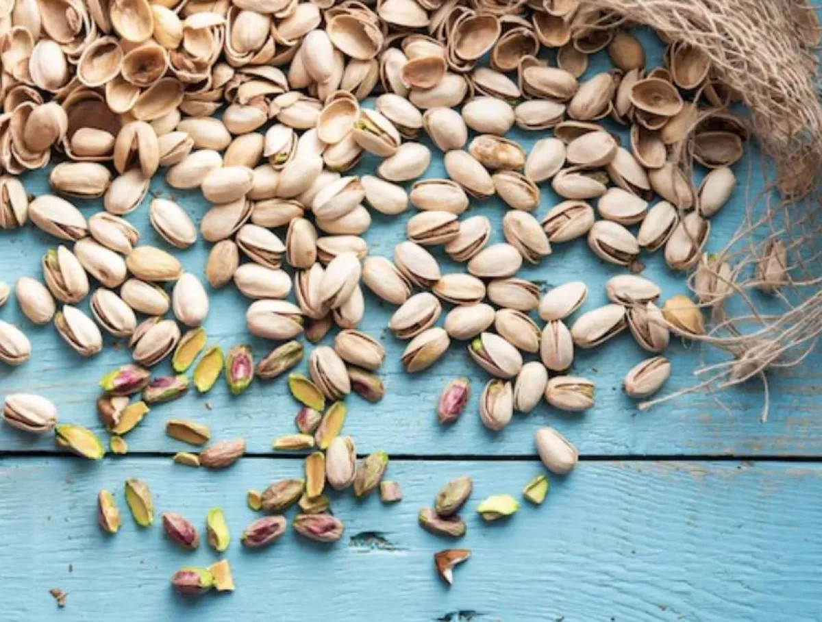 الفستق الحلبي