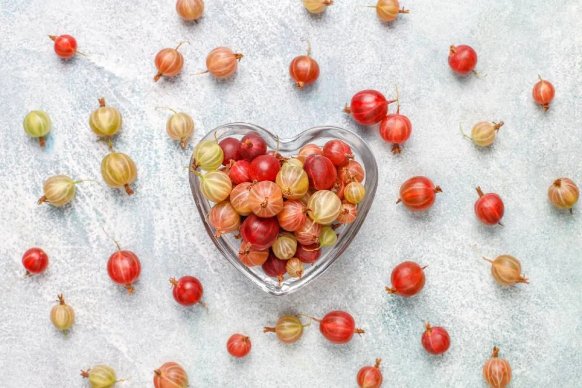 يحتوي الحرنكش على مضادات الأكسدة وفيتامين سي 