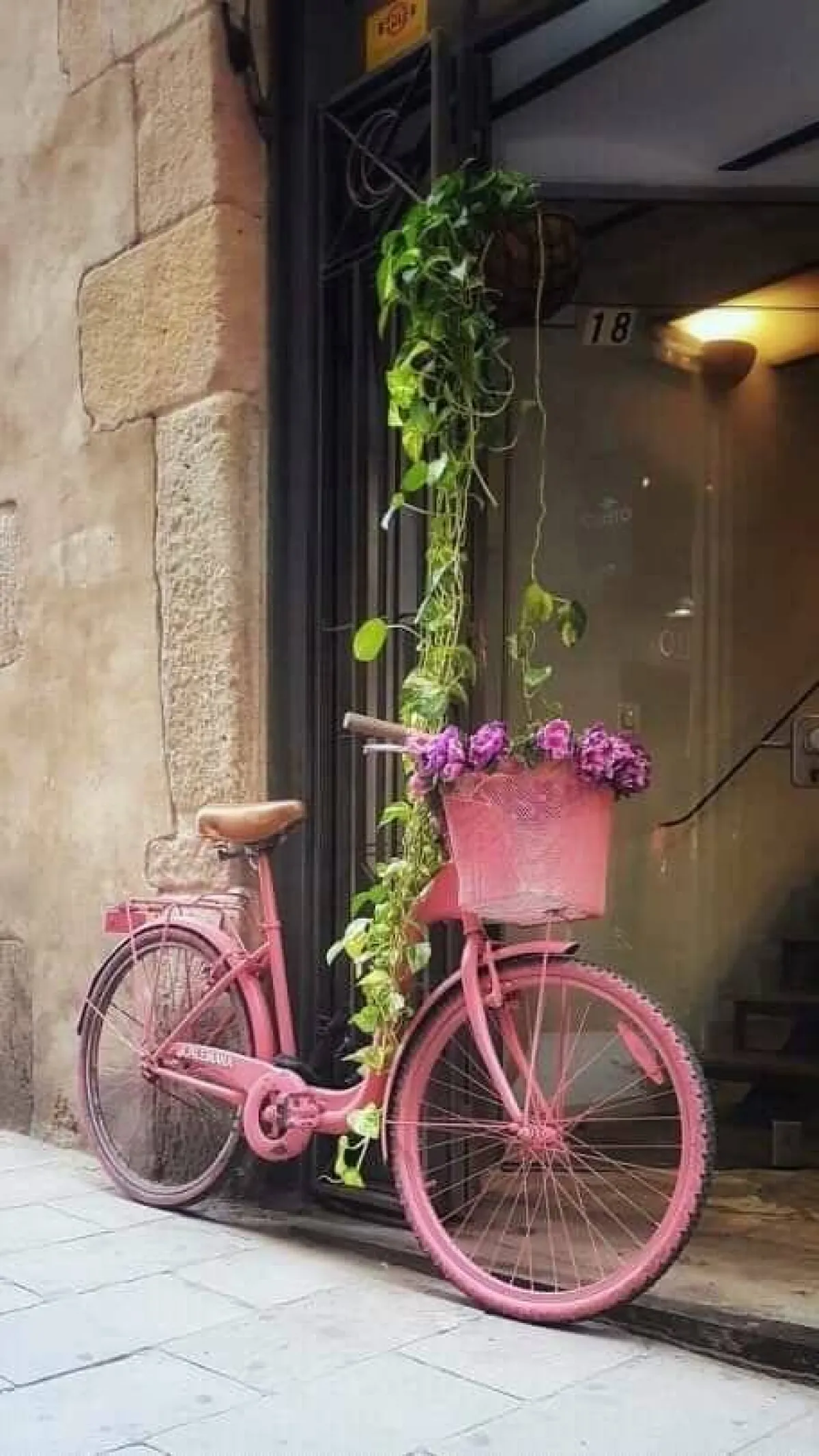 تزيين الدراجة الهوائية فى العيد