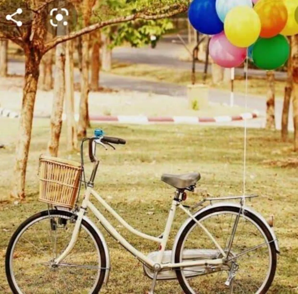 تزيين الدراجة الهوائية فى العيد