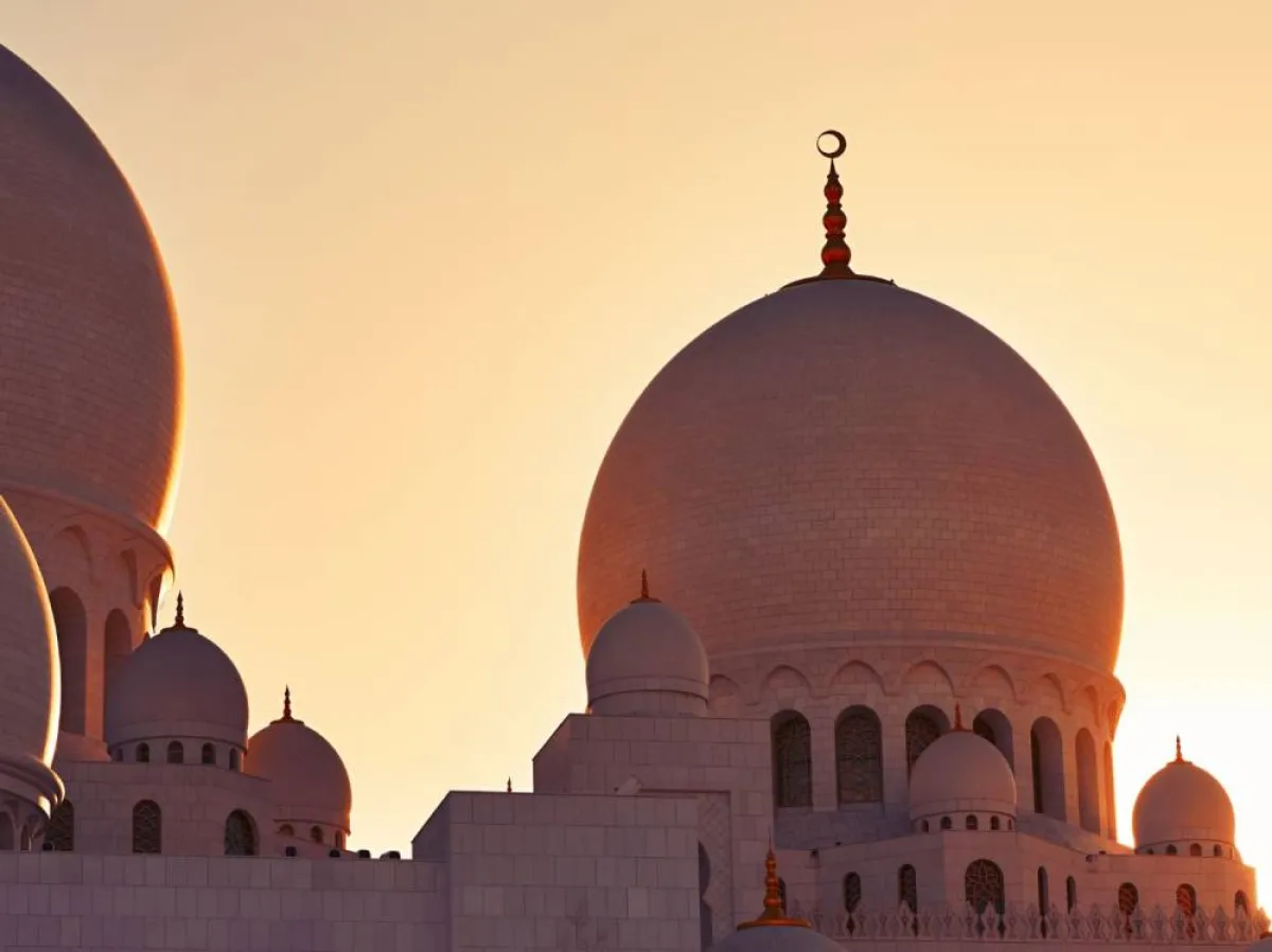 شروط المضحي 