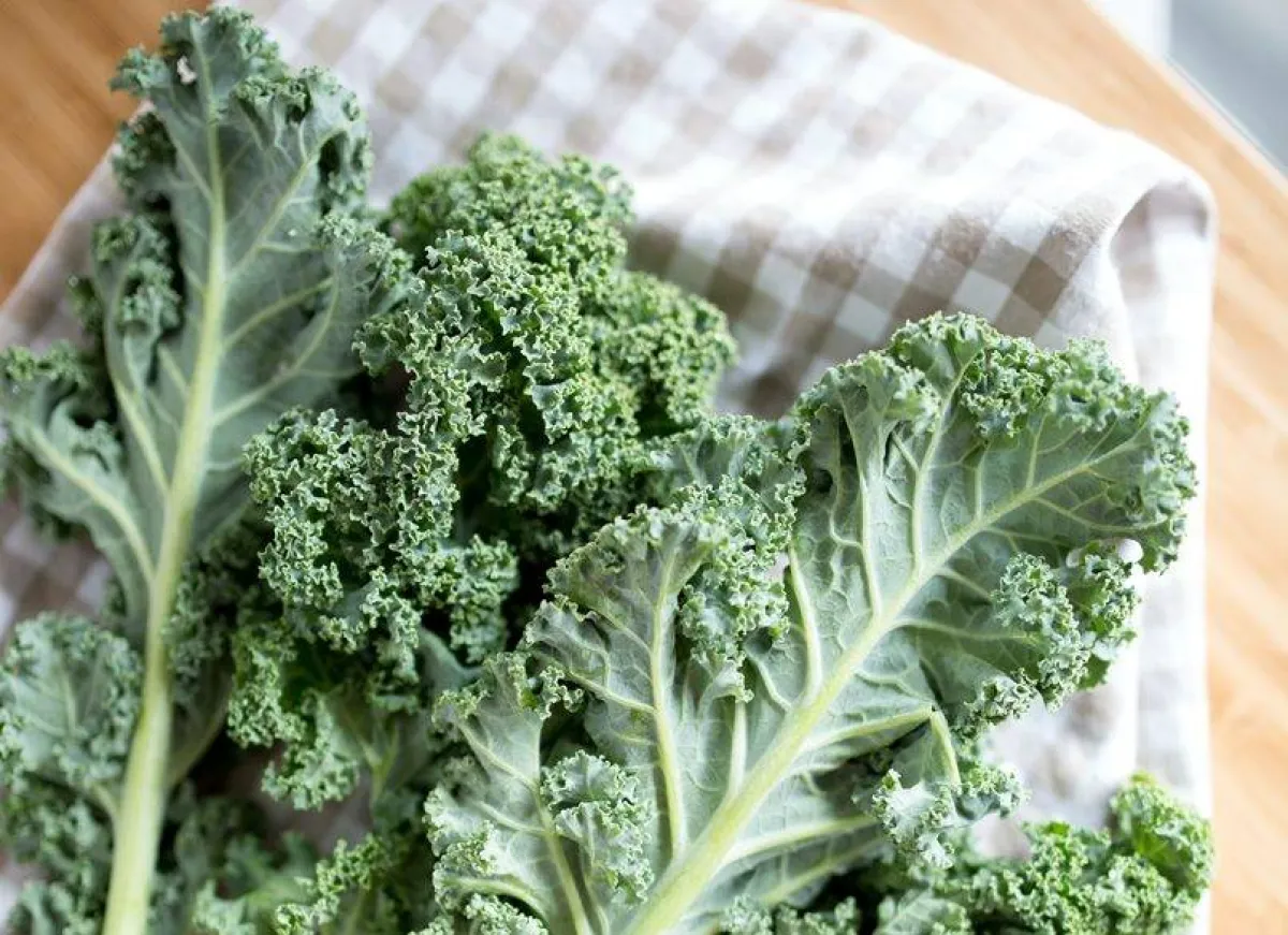 مصادر فيتامين ك والأدوار التي يلعبها في الجسم