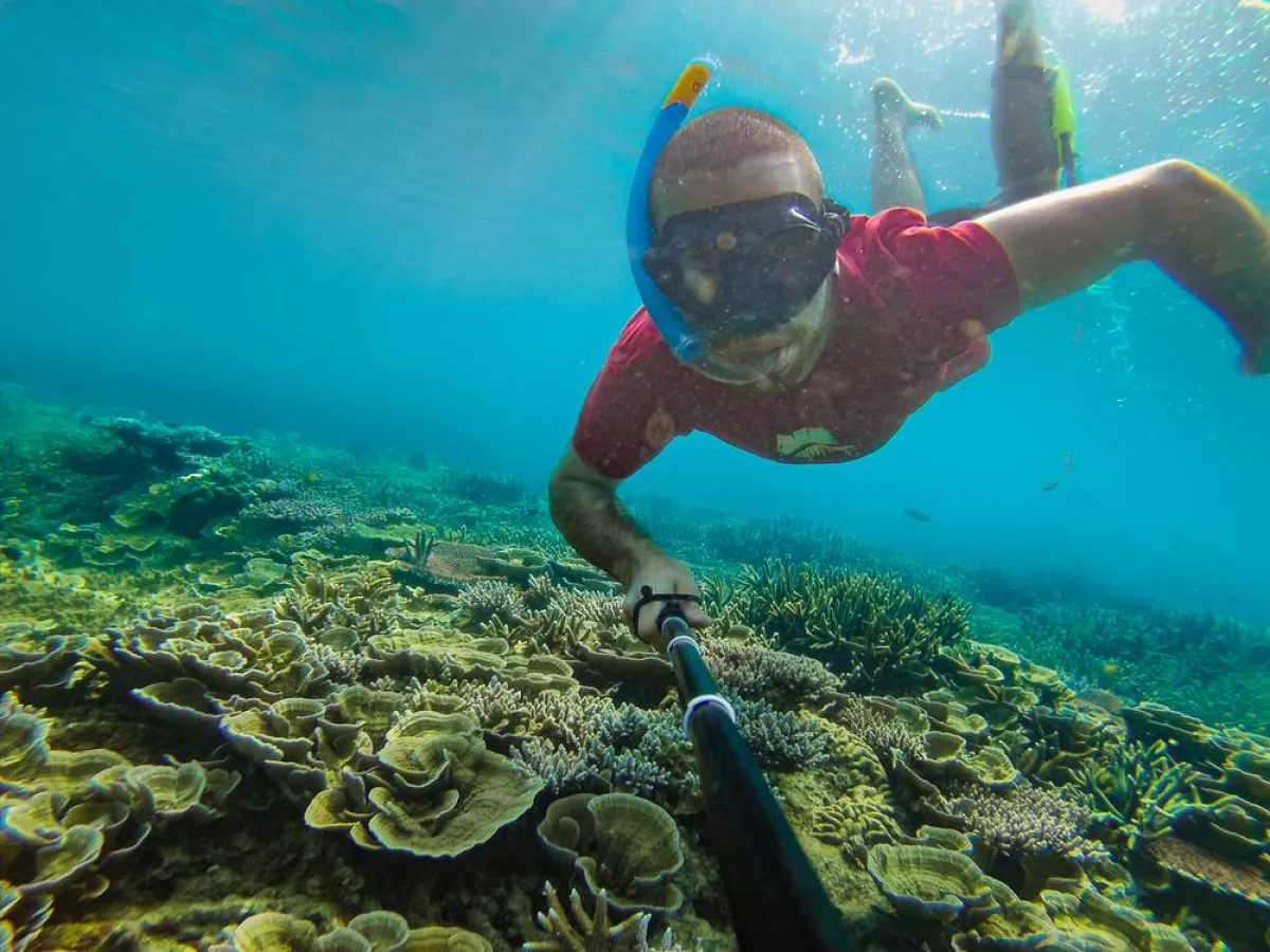 الغوص في جزيرة تيومان