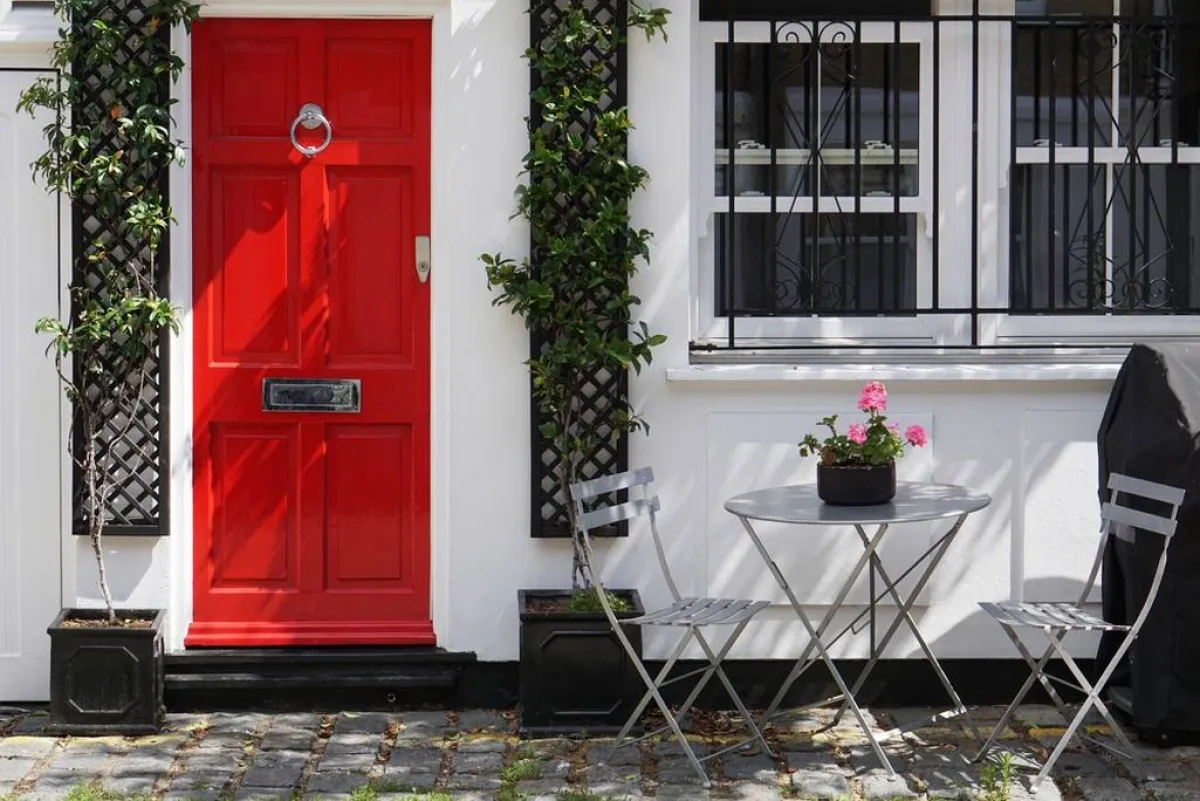 نباتات متسلّقة على الجدار