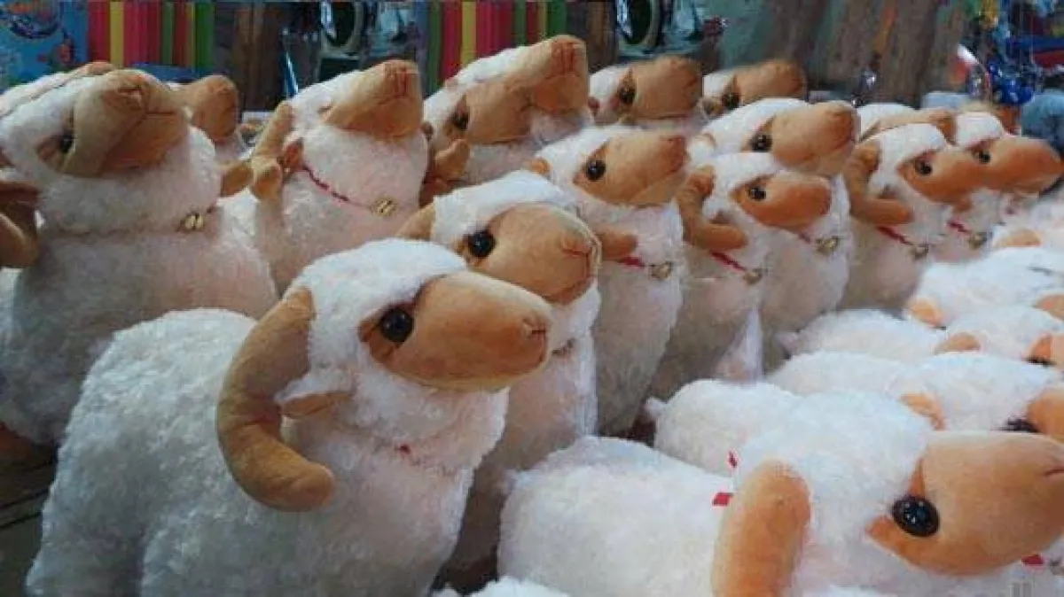 خروف عيد الأضحى